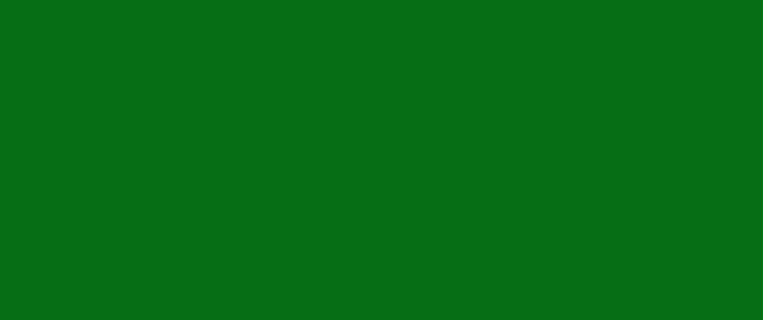 SC745 マラカイトグリーン